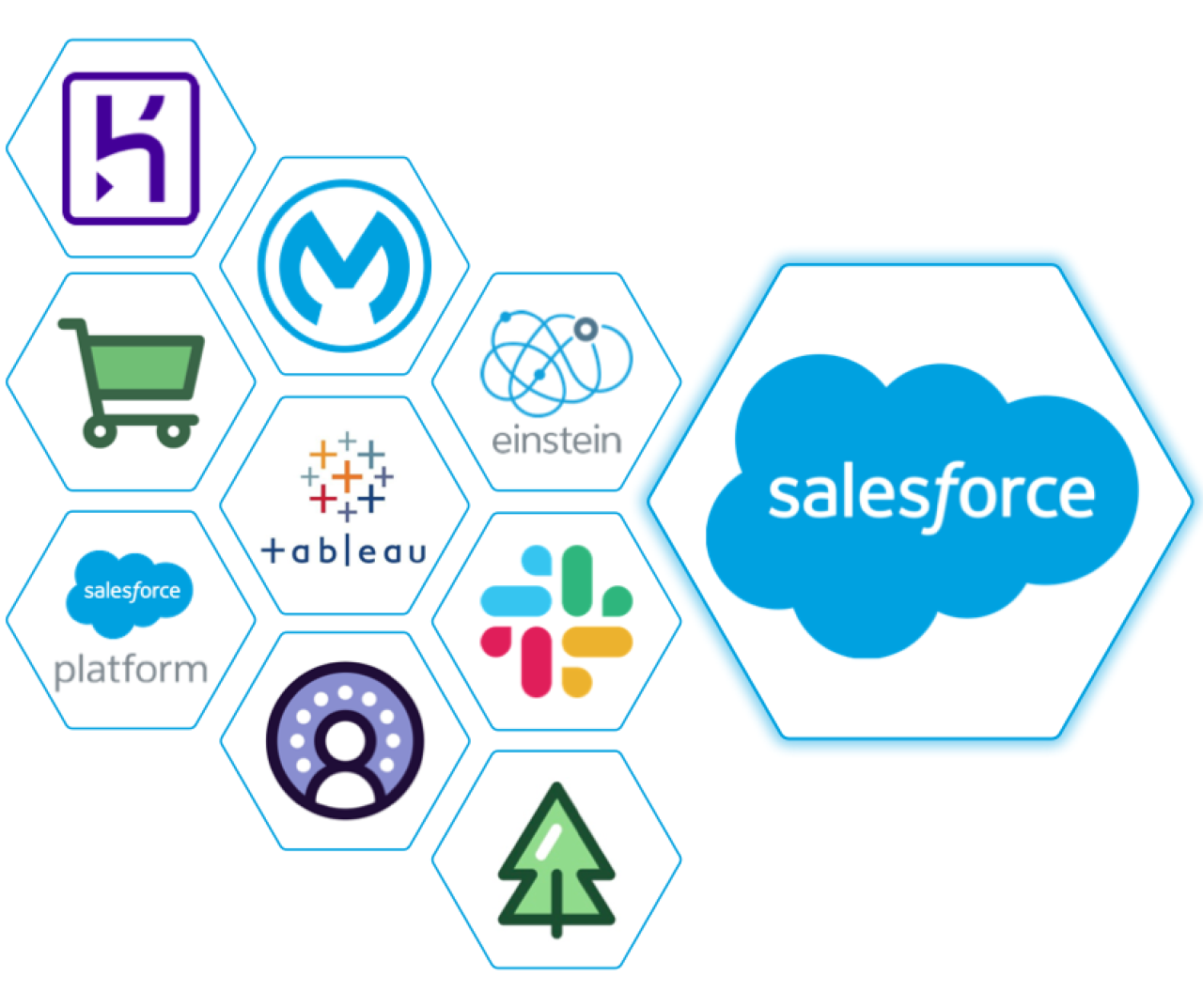 Salesforce Popular Implementations DB Services.