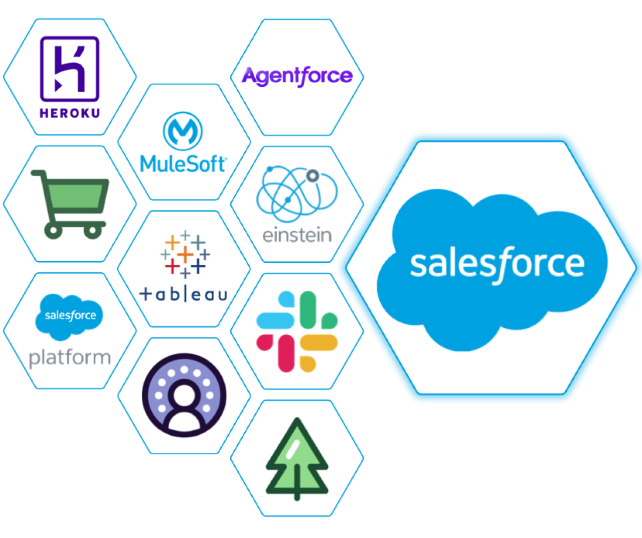 Salesforce Popular Implementations DB Services.