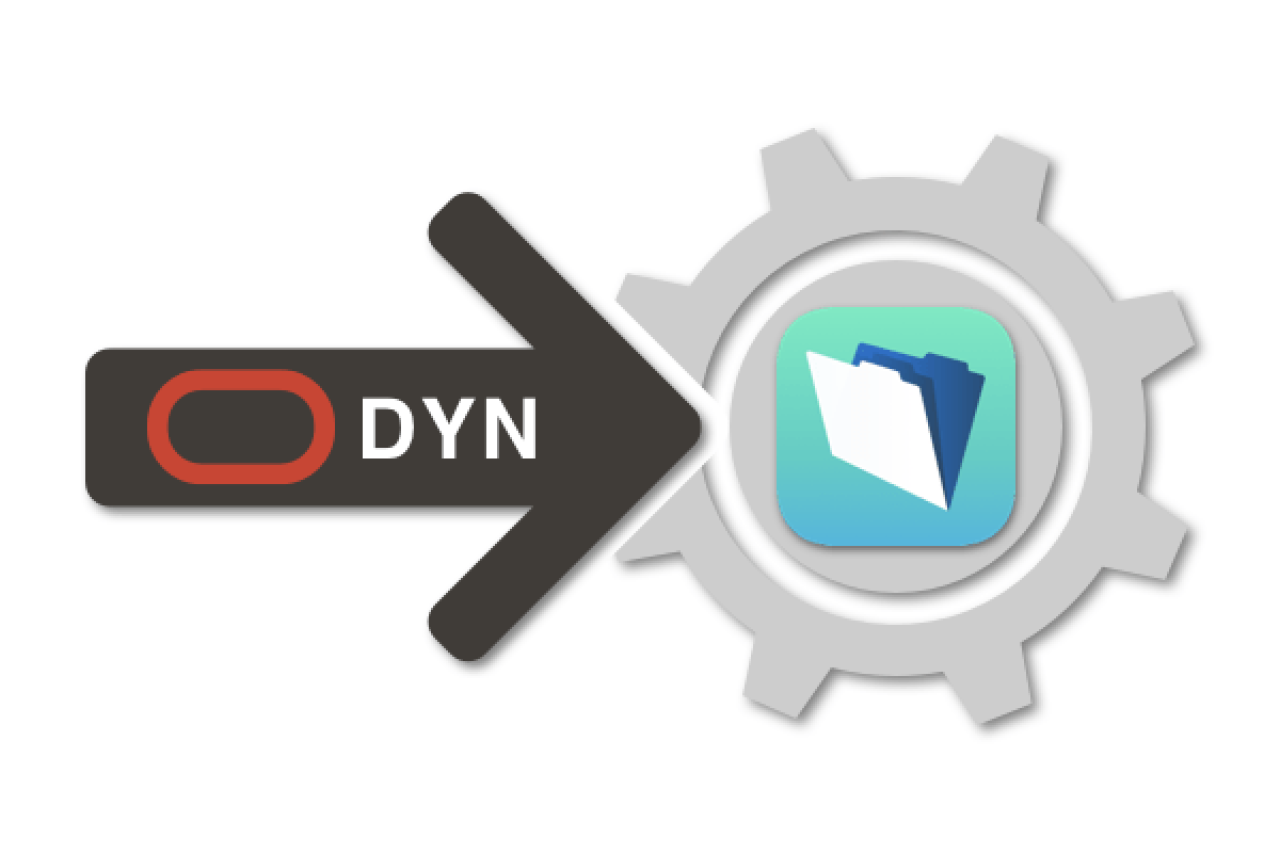 dynds connection.