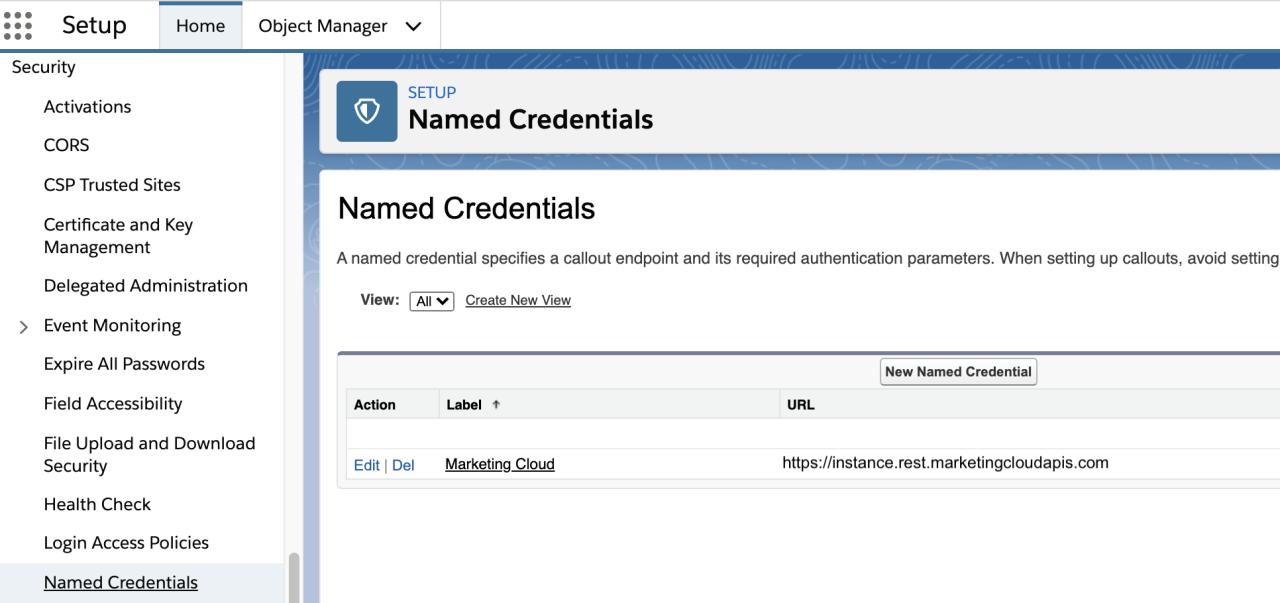 Named credentials setup area.