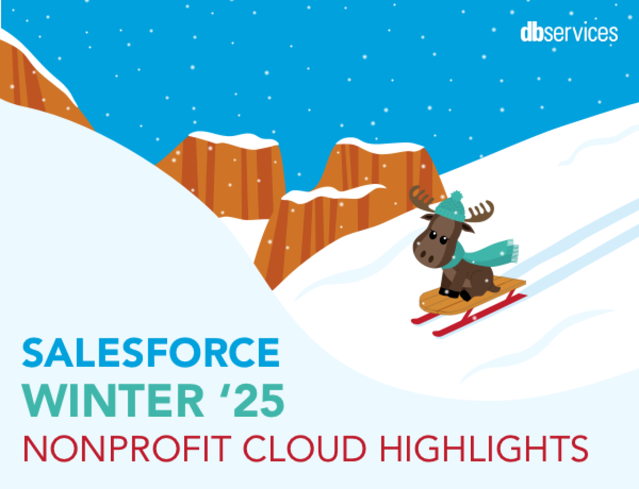 salesforce winter 25 nonprofit cloud db services.