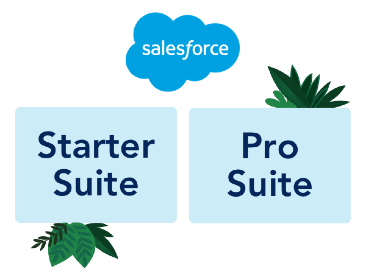 salesforce starter and pro suite.