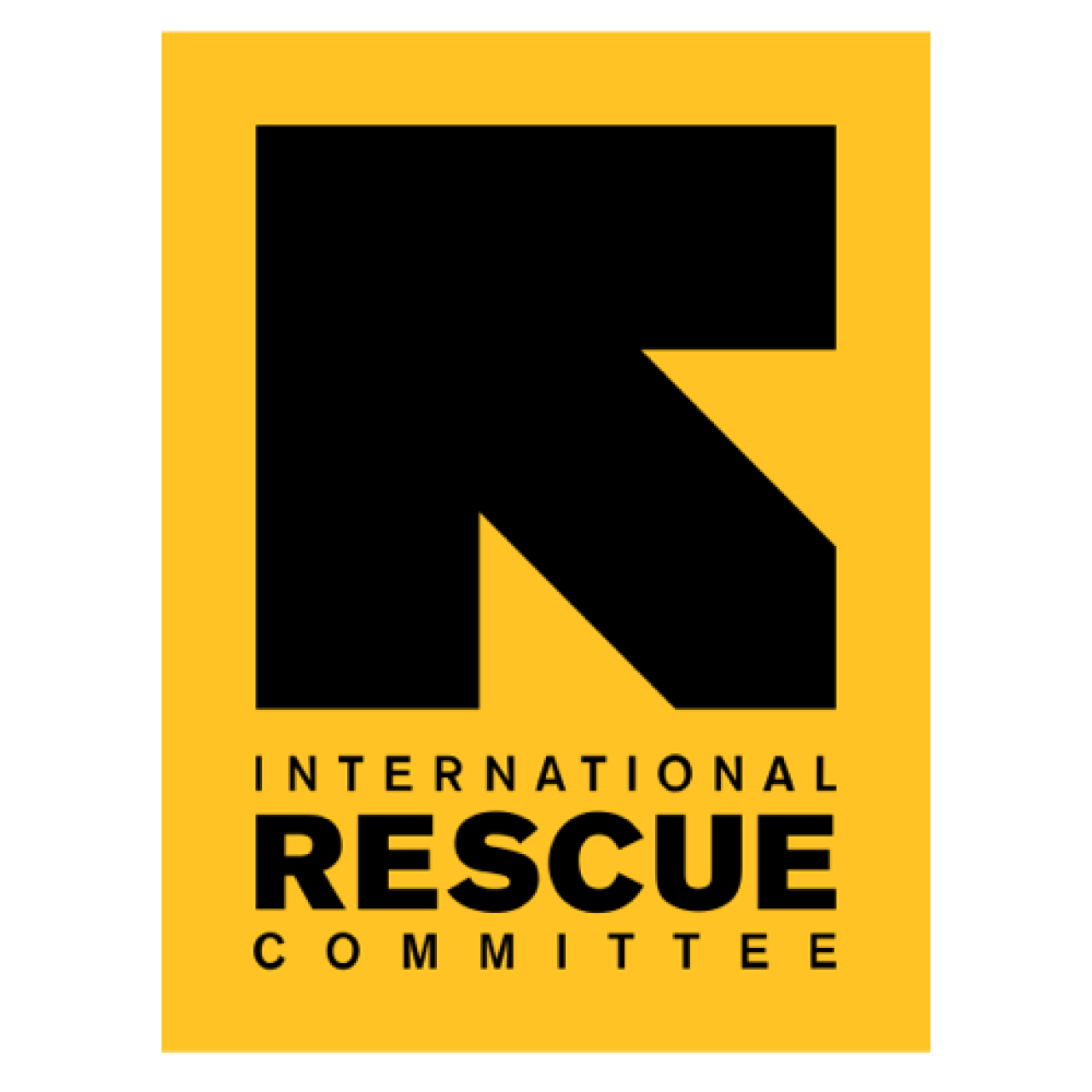 surveys for success international rescue committee large.