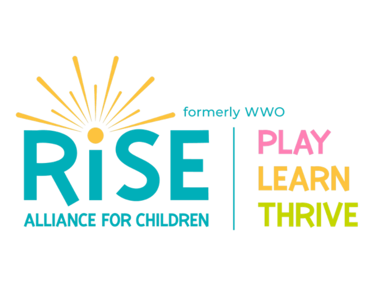 Surveys for Success: Rise Alliance for Children.