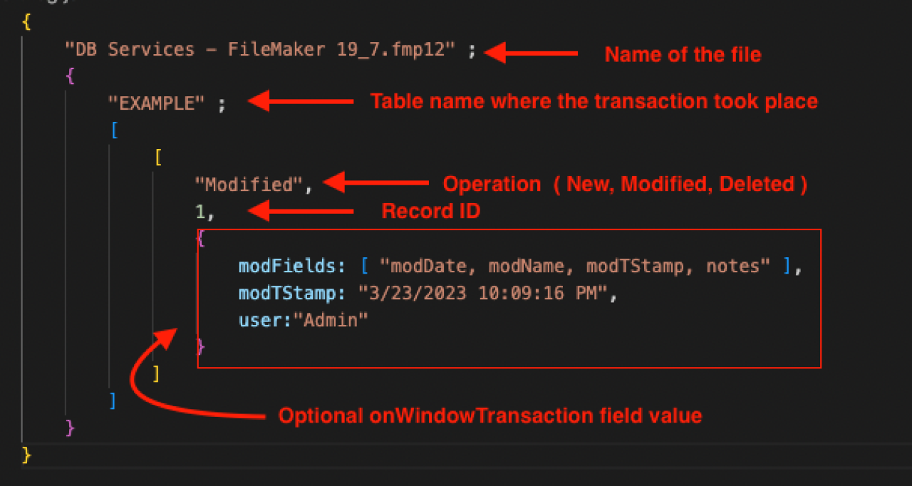 filemaker audit log breakdown.