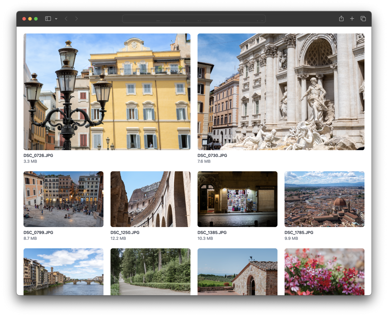 Grid UI of a photo gallery with images spanning multiple columns.