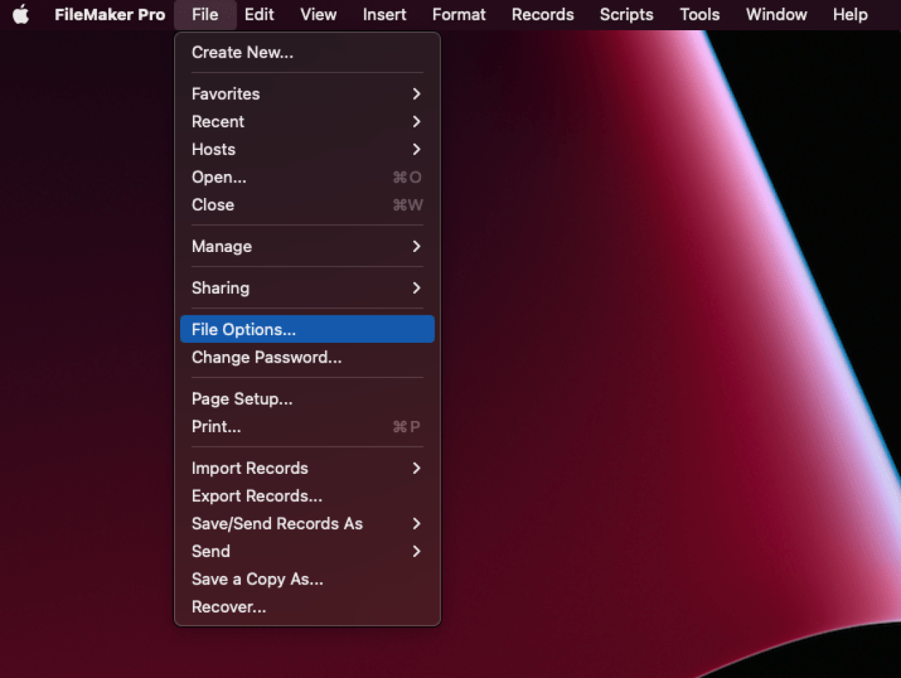 filemaker file options.
