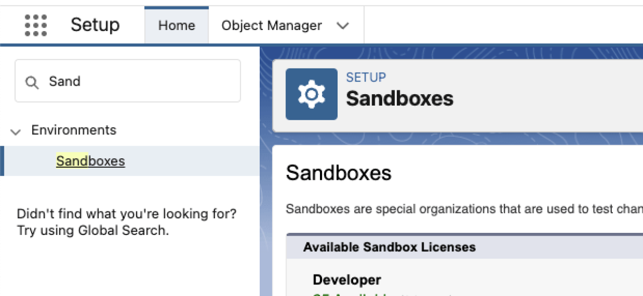 setting up a salesforce sandbox.
