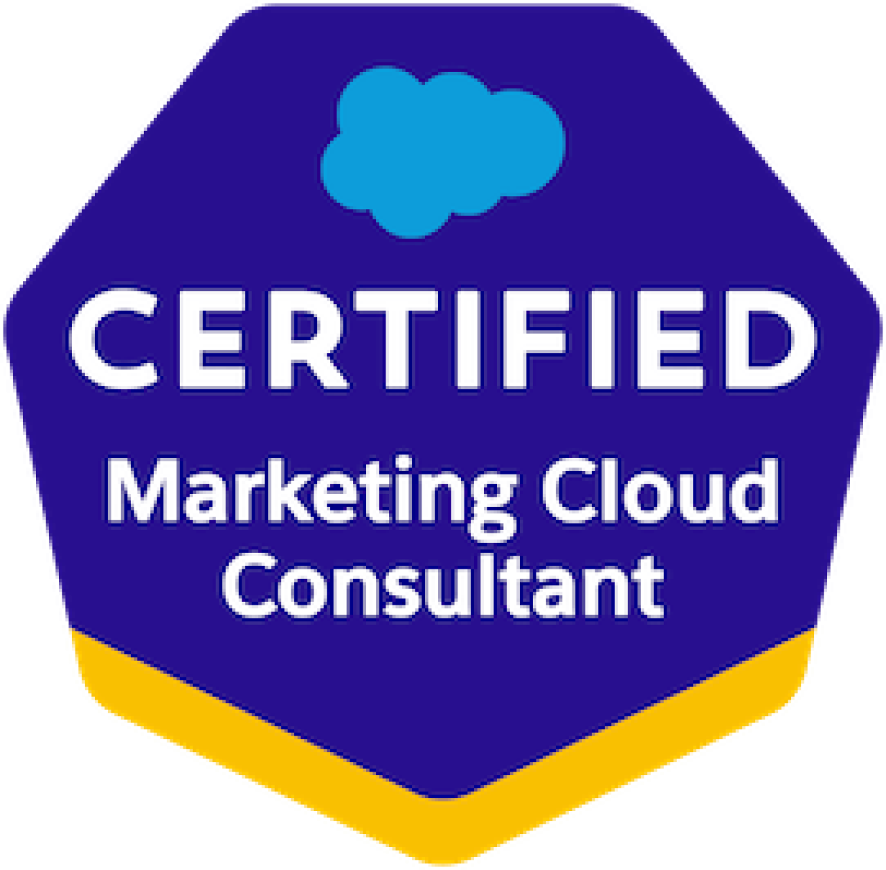 Salesforce Certified Marketing Cloud Consultant.