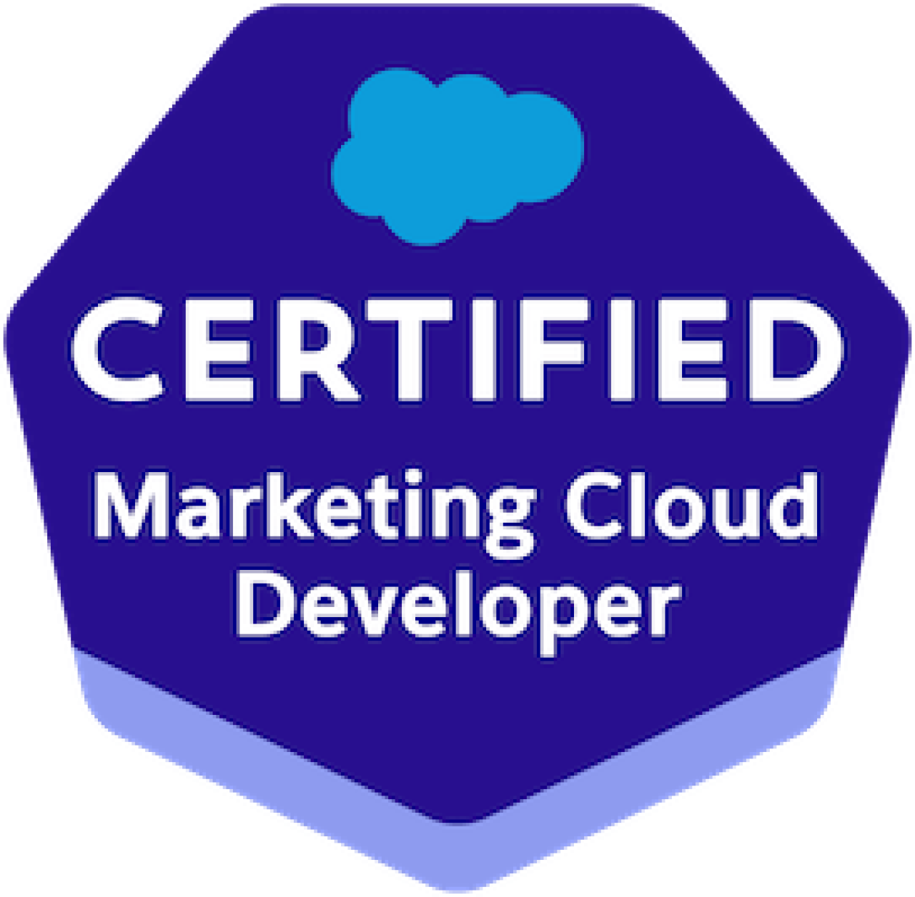 Salesforce Certified Marketing Cloud Developer.