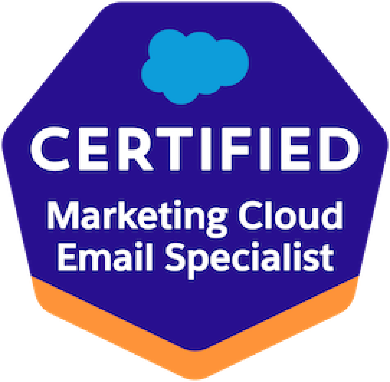 Salesforce Certified Marketing Cloud Email Specialist.