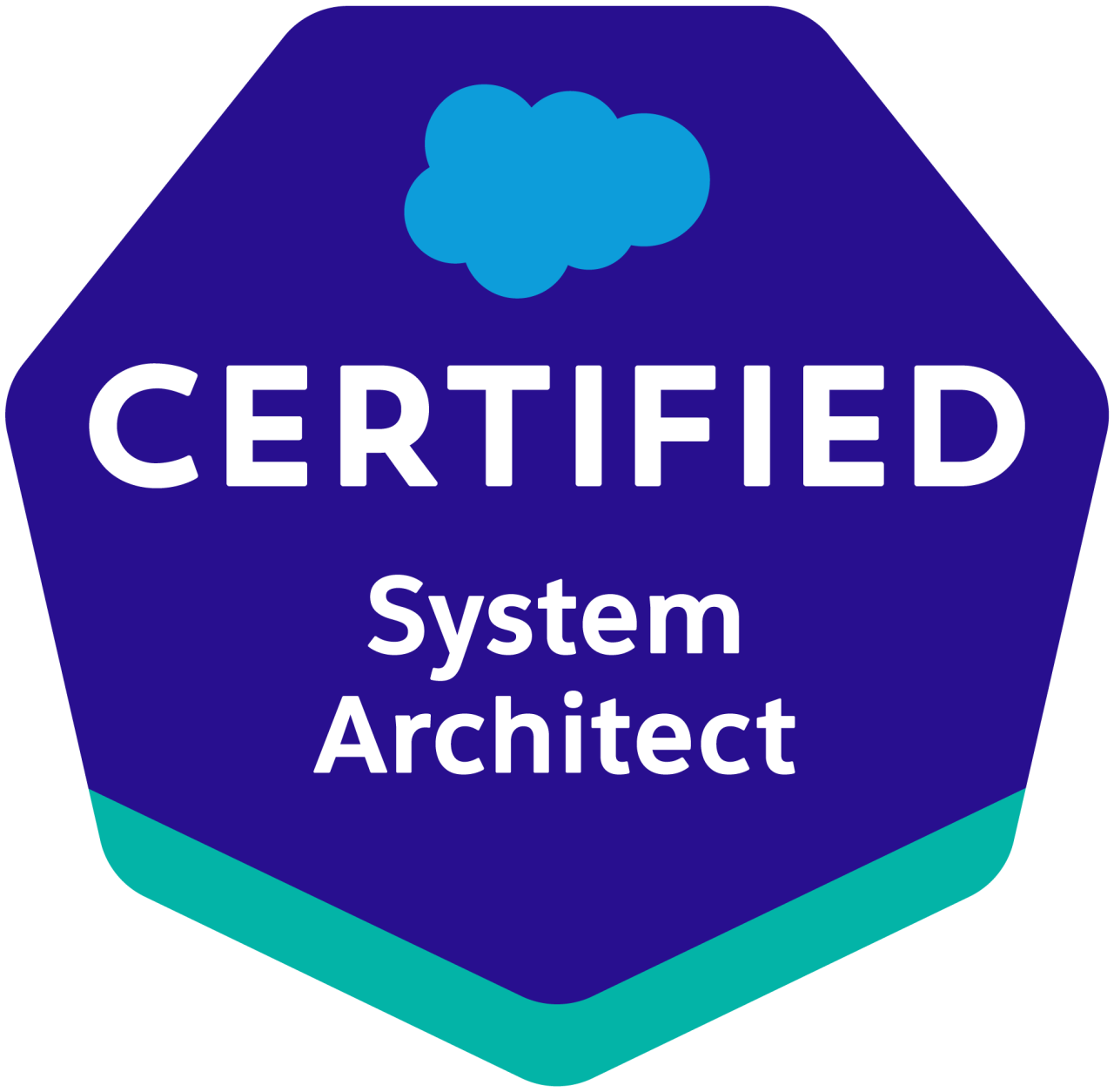 salesforce certified system architect.