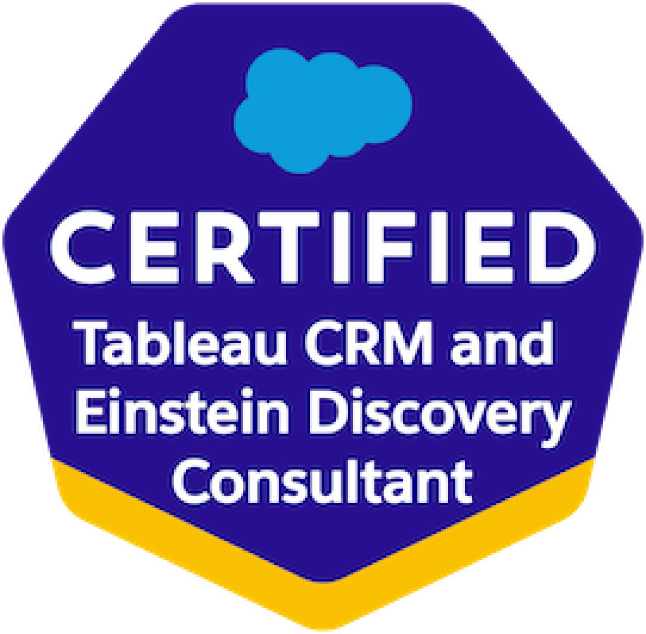 Salesforce Certified Tableau CRM and Einstein Discovery Consultant.