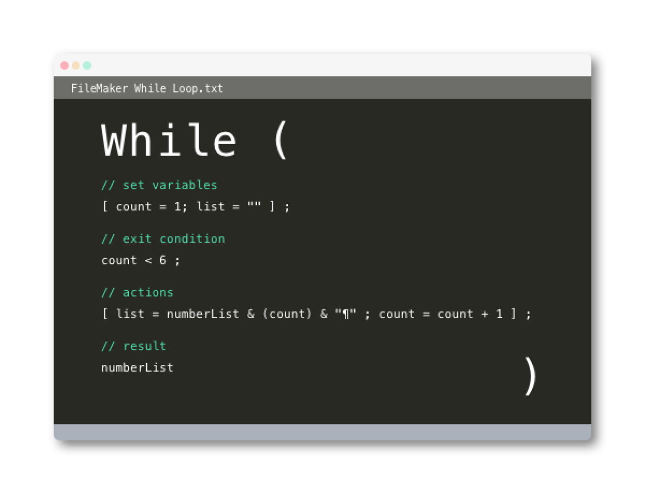 filemaker while function.