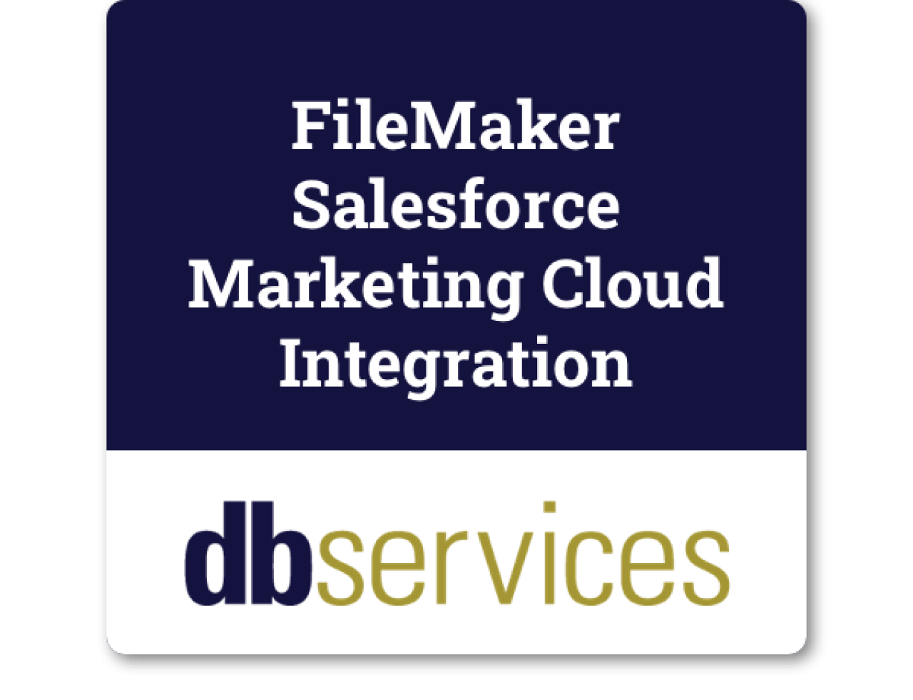 filemaker salesforce marketing cloud integration.
