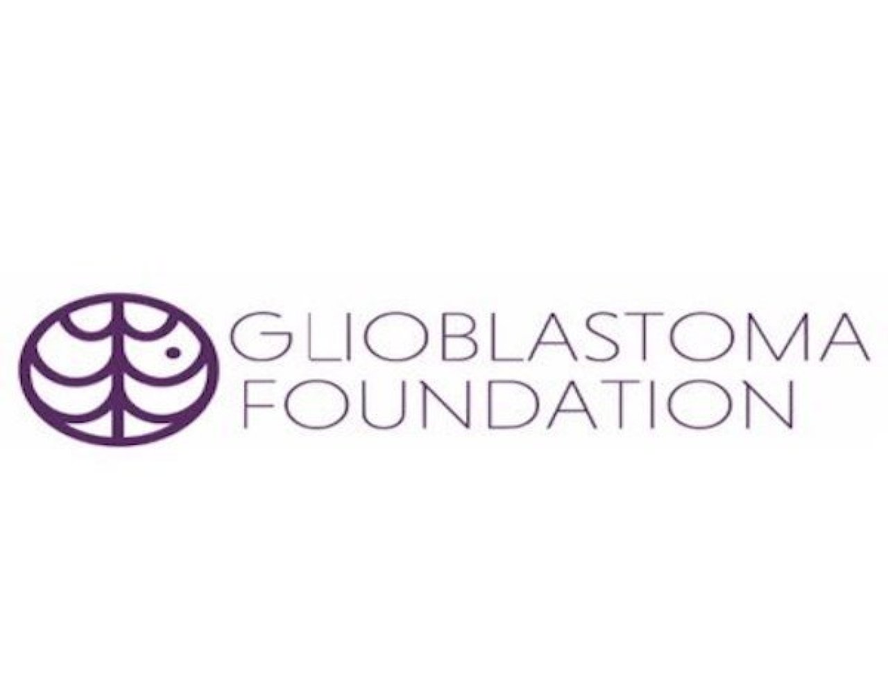 glioblastoma foundation.