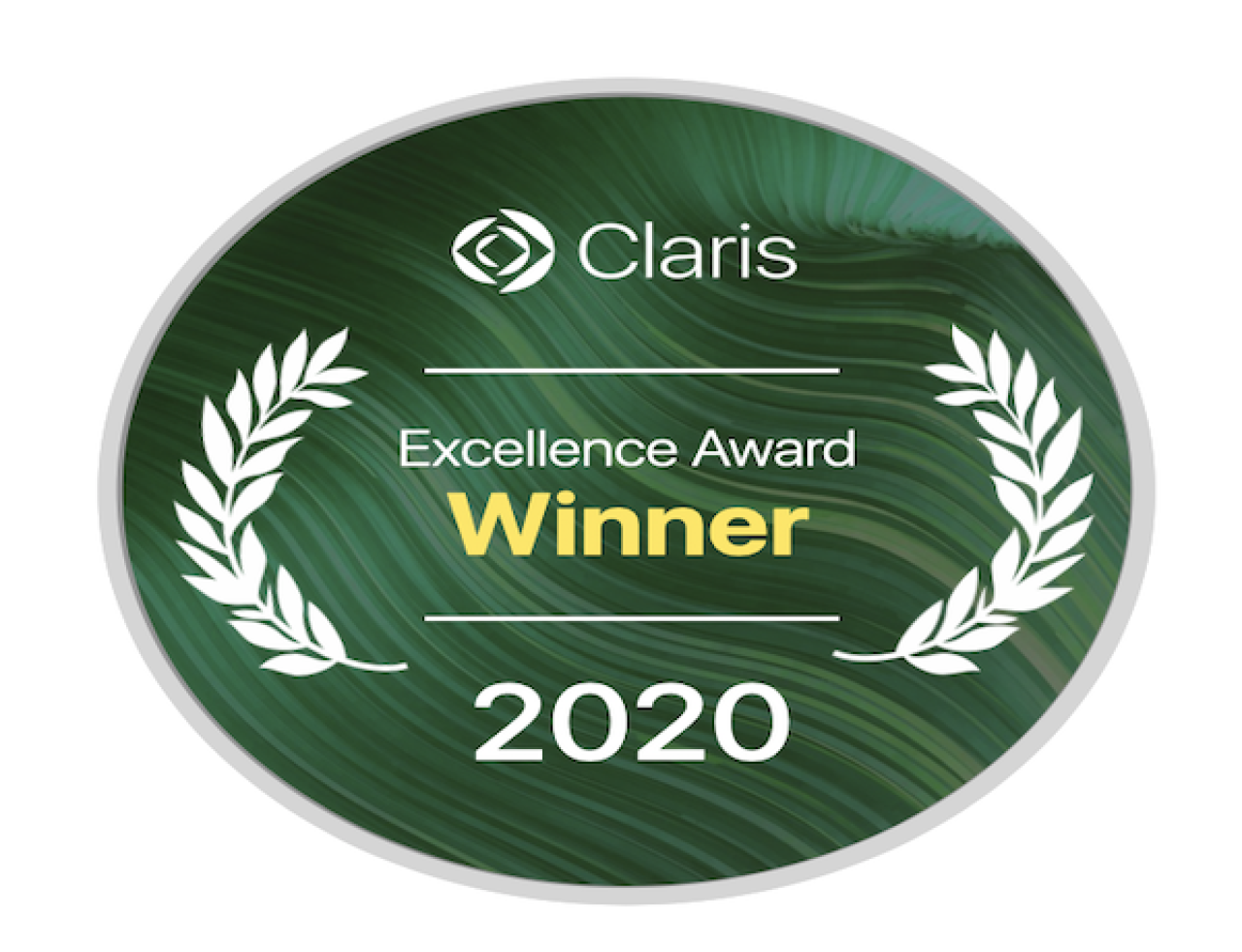 claris 202 excellence badge.