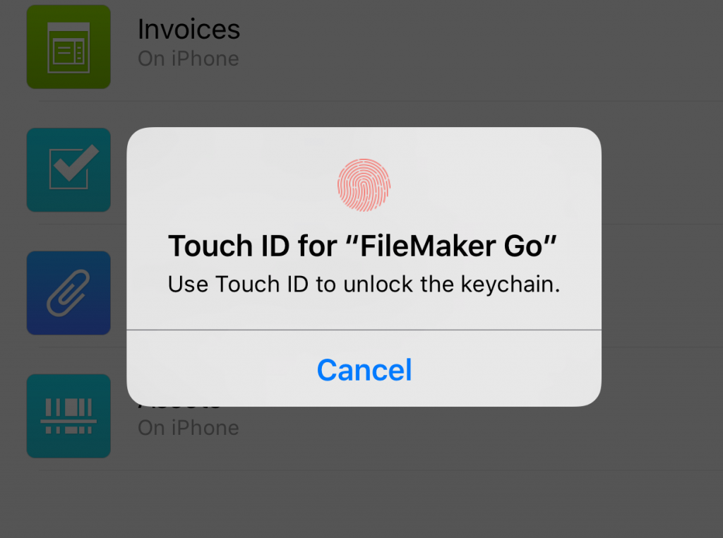 FileMaker Go 15 Touch ID